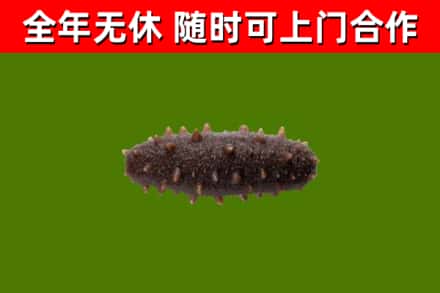 长安区烟酒回收干海参.jpg